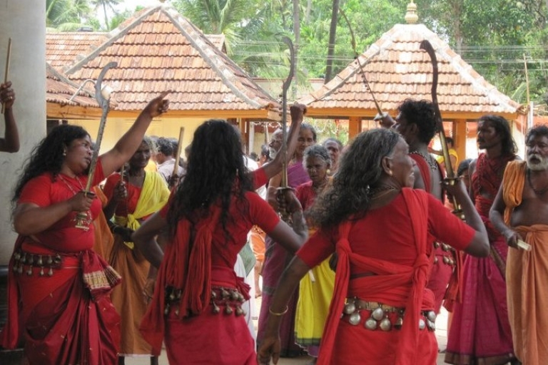 Ab Kochi: Kerala-Tagestour inklusive Mittagessen