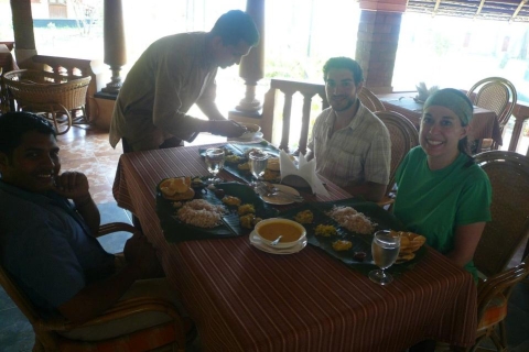 Ab Kochi: Kerala-Tagestour inklusive Mittagessen