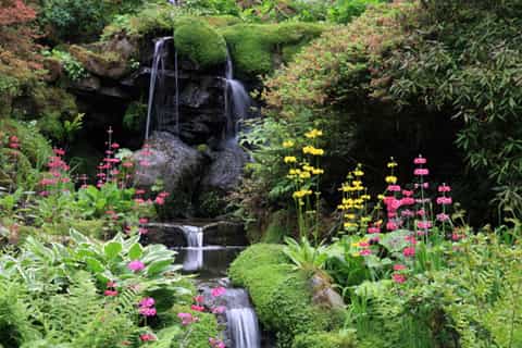English Country Gardens 4-Hour Private Tour from London