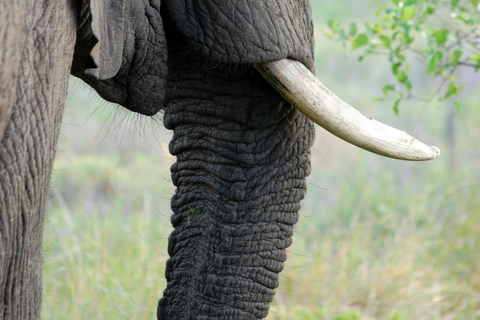 Arusha: 3-Day Tanzania Budget-Friendly Camping Safari