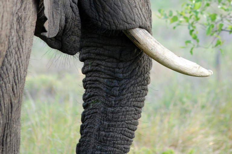 Arusha: 3-Day Tanzania Budget-Friendly Camping Safari