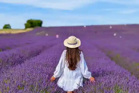 Baku-Gabala-Shamakhi-Tufandag -Nohur lake - Lavender fields