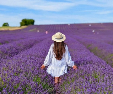 Baku-Gabala-Shamakhi-Tufandag -Nohur lake - Lavender fields