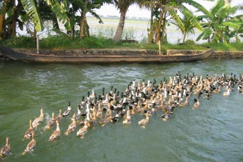 Woonboot Kerala: Vembanadu-meerStandaard Optie: