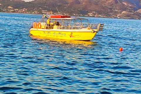 Zante : repérage des tortues, croisière à Marathonísi et dans les grottes de Keri