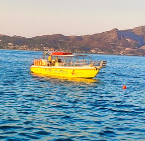 Zante: avvistamento delle tartarughe, crociera nelle grotte di ...