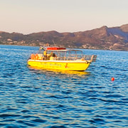 Zante: avvistamento delle tartarughe, crociera nelle grotte di ...