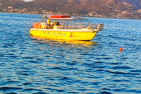 Zakynthos: Schildkrötenbeobachtung, Marathonísi &amp; Keri-Höhlen-Kreuzfahrt