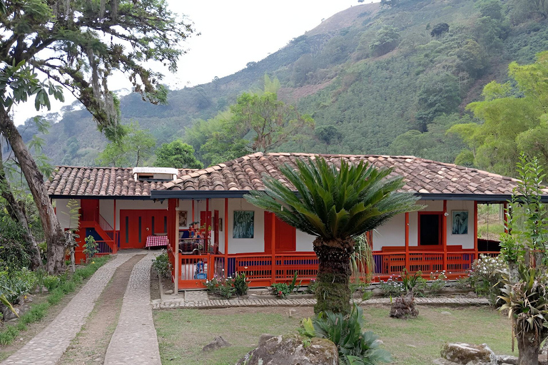 MEDELLIN: DAWN GARDEN TOUR WITH VISIT TO BETANIA - 2 DAYS AND 1 NIGHT