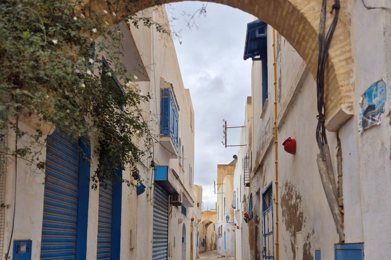 Excursión de un día a Cartago y Sidi Bou Said