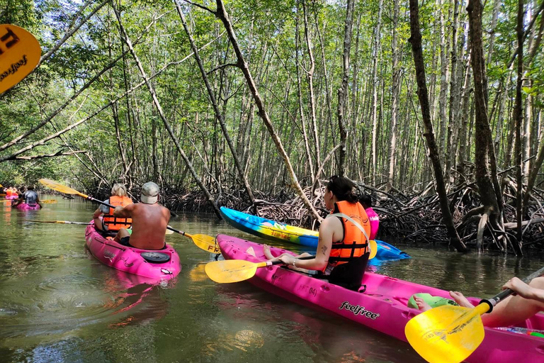 Krabi : Krabi kayak &amp; ATV Jungle adventure (groupe de 10 max)Krabi : Ao Thalane kayak et quad aventure dans la jungle