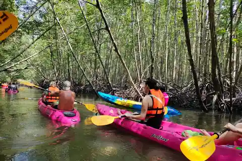 Krabi: Half-day Kayak adventure at Ao Thalane (Group of 10)
