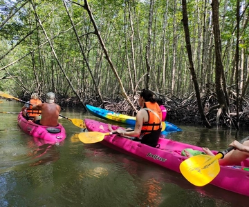 Krabi: Aventura de meio dia de caiaque em Ao Thalane