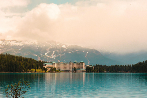 Calgary/Banff: Lake Louise, Moraine, Peyto &amp; Bow Lakes TourPickup from the Travel Alberta Canmore Visitor Centre