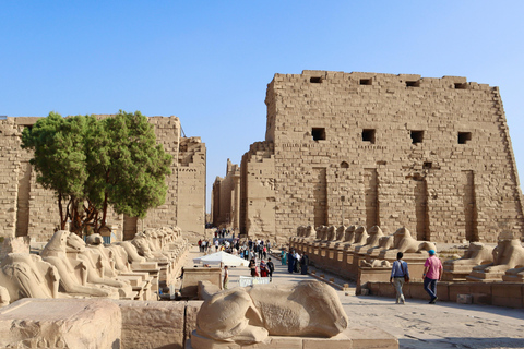 Luxor: East and/or West Banks Guided Tour with Lunch Shared Half-Day Tour to West Bank Only with Entry Ticket