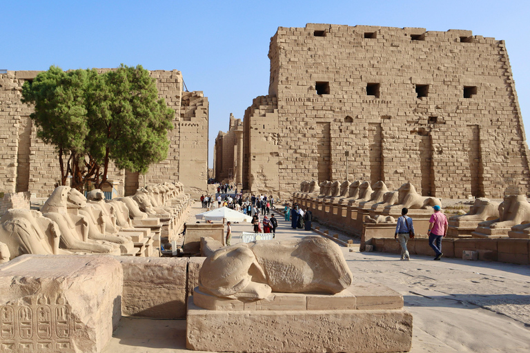 Luxor: East and/or West Banks Guided Tour with Lunch Shared Half-Day Tour to West Bank Only with Entry Ticket