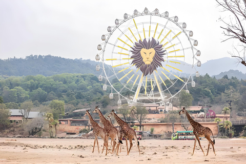 Qingyuan: Chimelong Forest Kingdom Ticket