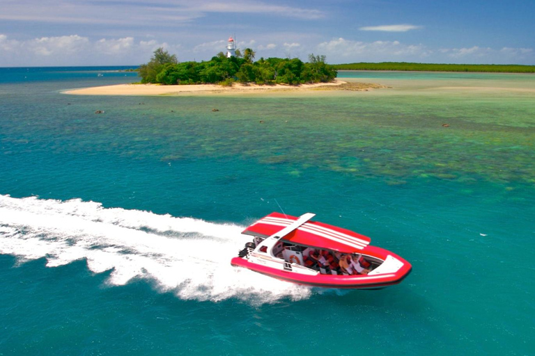 Port Douglas:Half Day Low Island and Lagoon Snorkelling Tour
