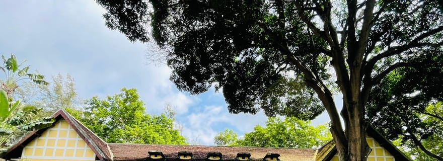 Buon Ma Thuot : visite à pied de la ville avec dégustation de cuisine locale