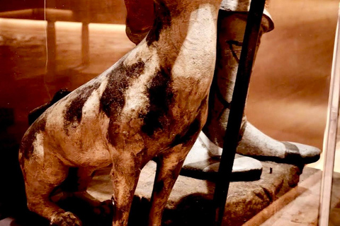 Rome: Explore Capuchin Museum & Crypt with Audio guide
