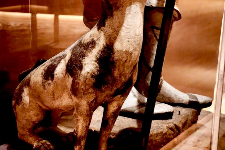 Rome: Explore Capuchin Museum & Crypt with Audio guide