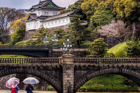 Tokyo City Private Day Tour By English Speaking Driver
