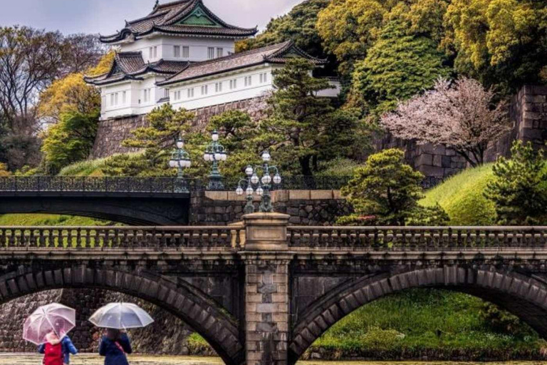Tokyo City Private Day Tour By English Speaking Driver