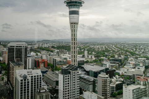 Auckland: Scenic Highlights Tour with Ferry Ride