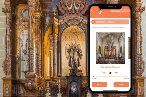 Malaga Cathedral: Self-guided tour created by an Official Guide Cathedral Ticket + Self-Guided Tour