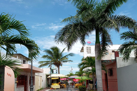 Ein Erlebnis von Farbe, Geruch und Geschmack in Veracruz