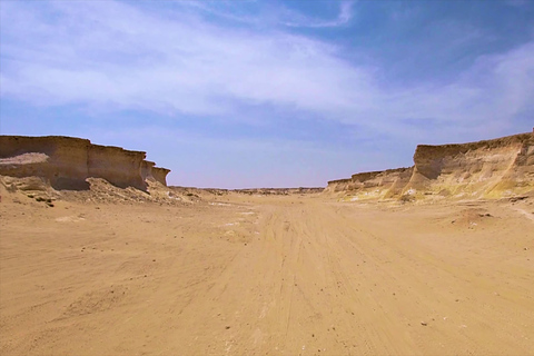 西海岸私人之旅：理查德·塞拉和沙漠奇观