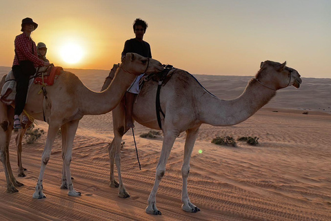 Oman Wahiba Desert Safari: Sunset & Adventure Shared Tour