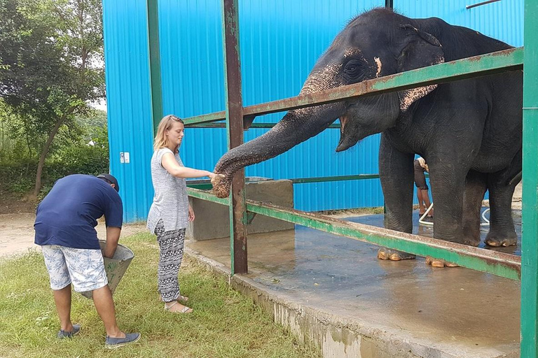 Da Agra: visita al viaggio di conservazione degli elefanti SOS Wildlife