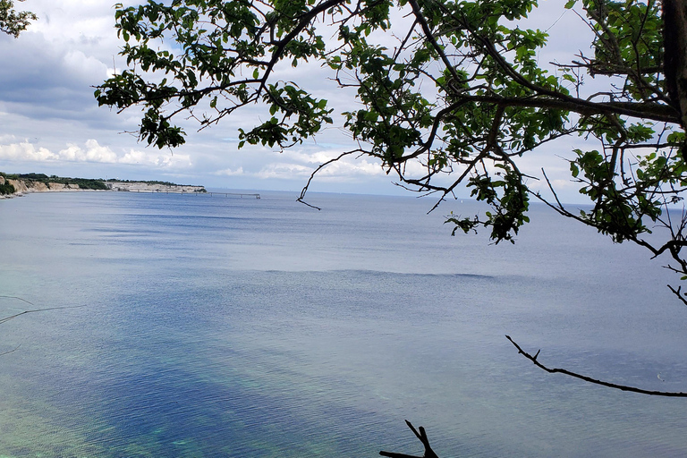 Köpenhamn: Stevns Klint Geologisk Hot Spot UNESCO-tur