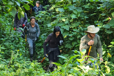 Uganda e Ruanda: Safari di 8 giorni con i gorilla e la fauna selvatica