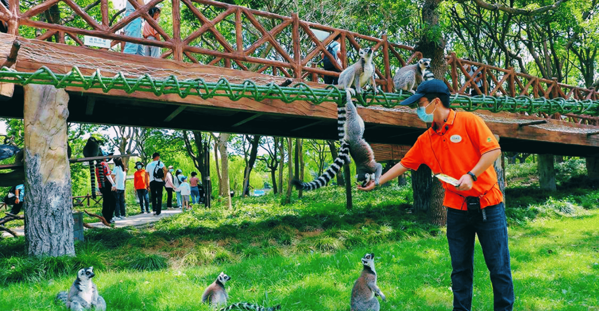 Shanghai: Wild Animal Park Ticket photo 11