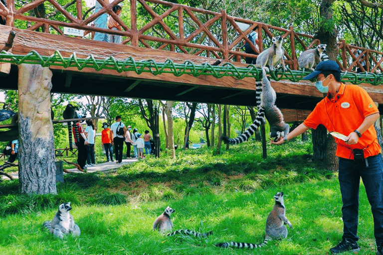 Shanghai: Biglietto per il parco degli animali selvatici