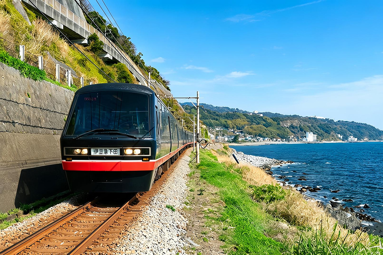 Small Group Day Tour:Omuro Mountain & the Izu Scenic Railway Hotel Transfer Option