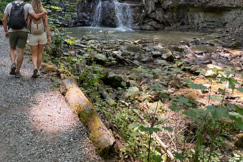 Zürich: Privater Spaziergang durch die Natur & ein wohlhabendes Dorf am See