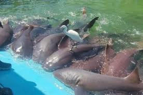 Cartagena: 3 Exclusive Destinations in the Rosario Islands