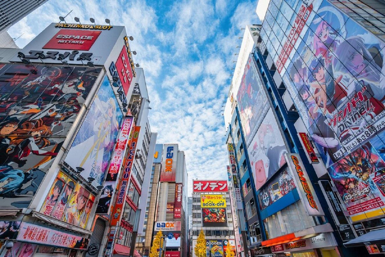 Tokyo: Tailored Shopping Escape Tour