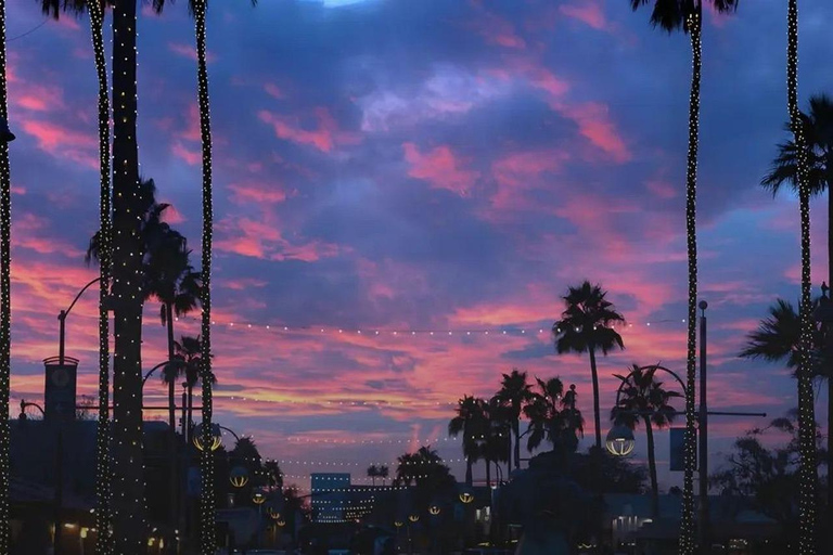 Scottsdale: Sunsets & City Lights Segway Tour