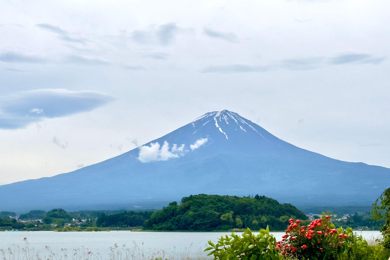 Tokyo: Mt. Fuji &amp; Hakone Cherry Blossoms Private Day Tour