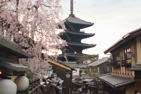 Kyoto: Private Guided Tour With Vehicle and Optional Add-Ons
