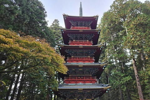 Excursion privée d&#039;une journée à Nikko et visites touristiques :