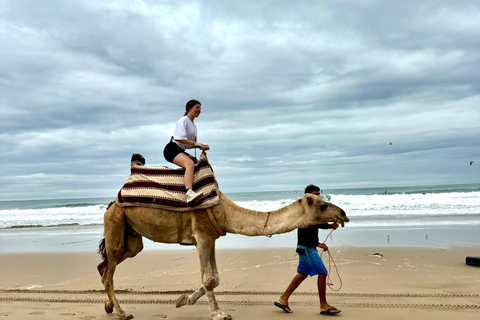 Agadir: Quad Bike and Camel Ride Desert & Beach Tour