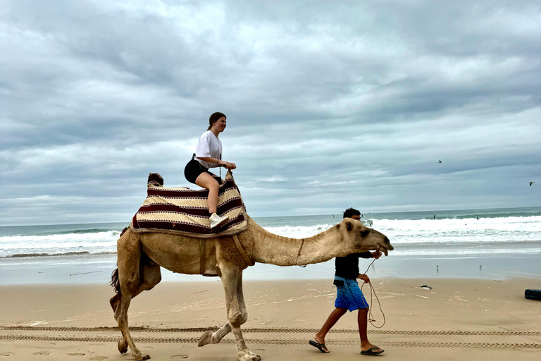 Agadir: Quad Bike and Camel Ride Desert & Beach Tour