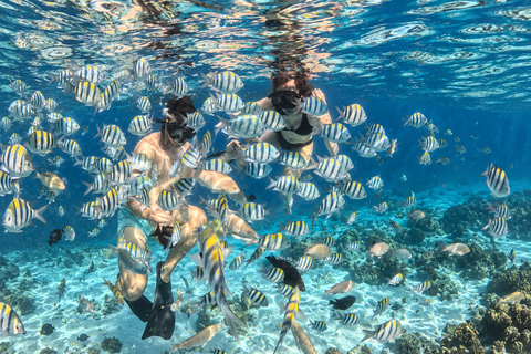 From Gili Air: Snorkelling Trip with Turtles, Statue & GoPro From Gili Air: Shared Snorkeling with Turtles, Statue &GoPro