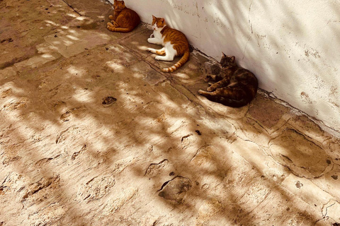 From Seville: White villages & Ronda day trip