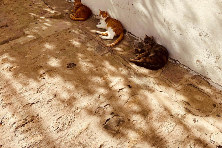 From Seville: White villages & Ronda day trip